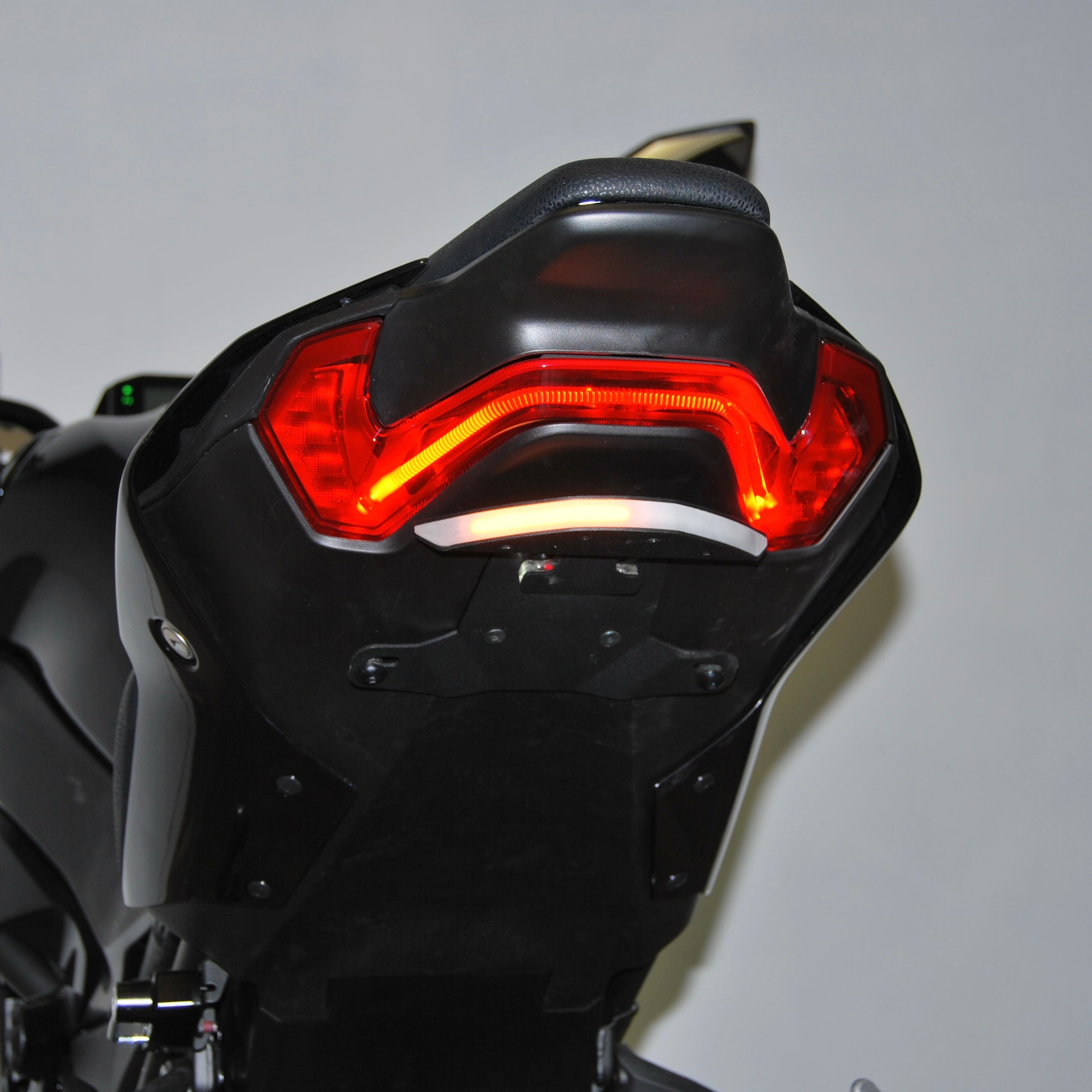 Kawasaki Z900 Fender Eliminator (2024-Present)