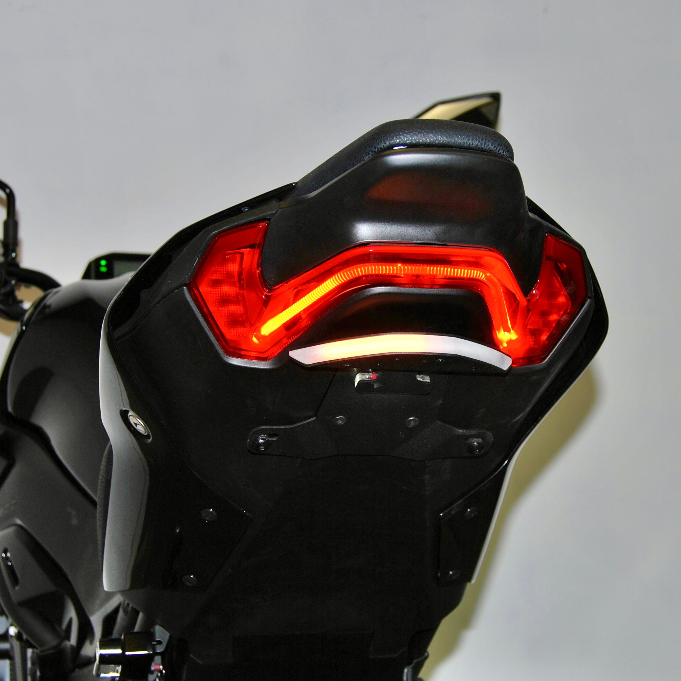 Kawasaki Z900 Fender Eliminator (2024-Present)
