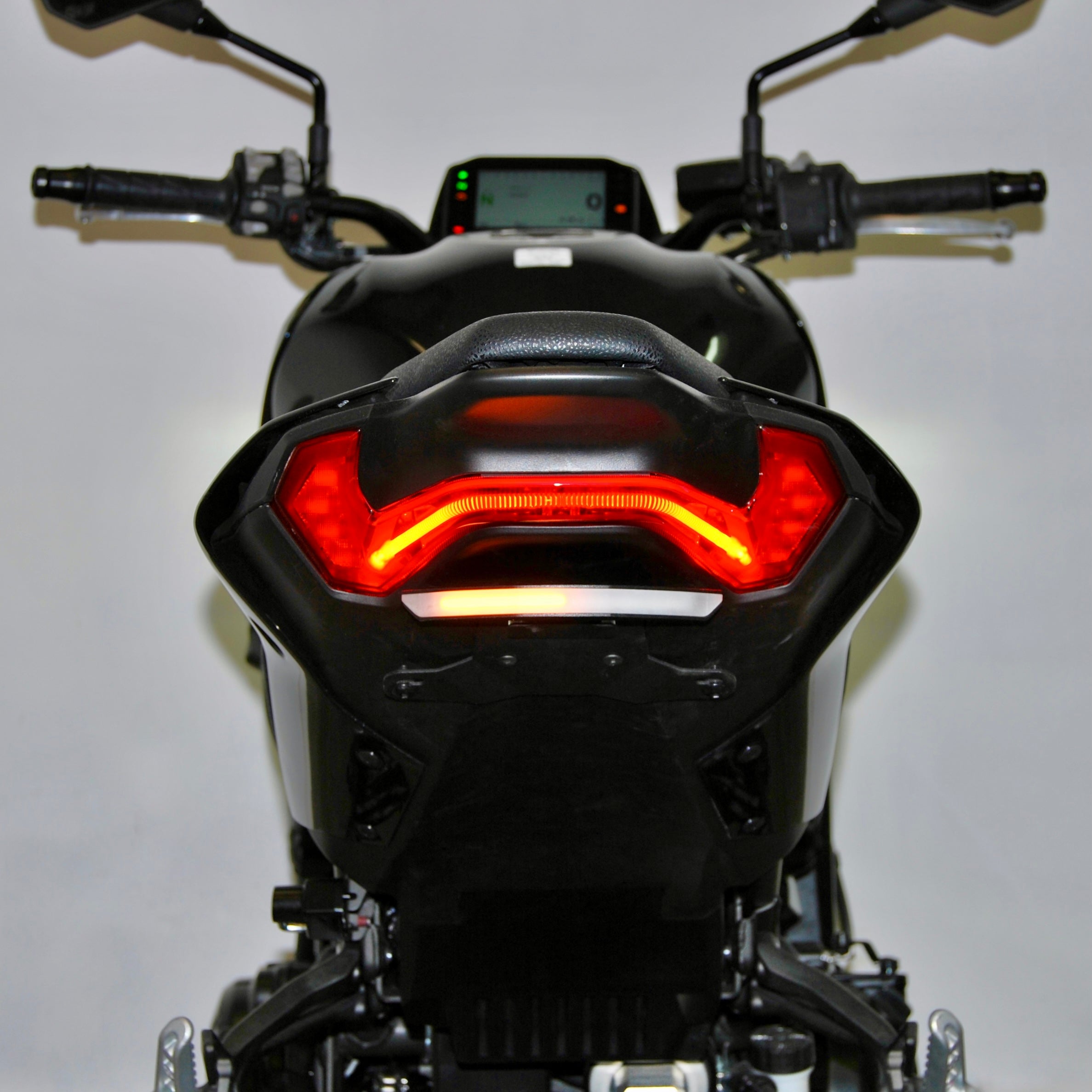 Kawasaki Z900 Fender Eliminator (2024-Present)