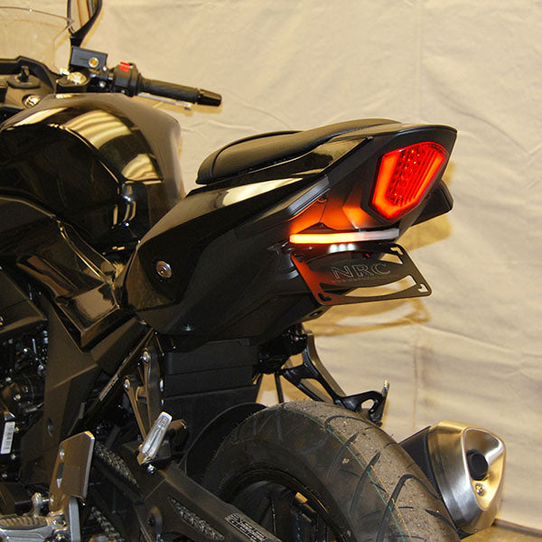 Suzuki GSX-250R Fender Eliminator (2017-Present)
