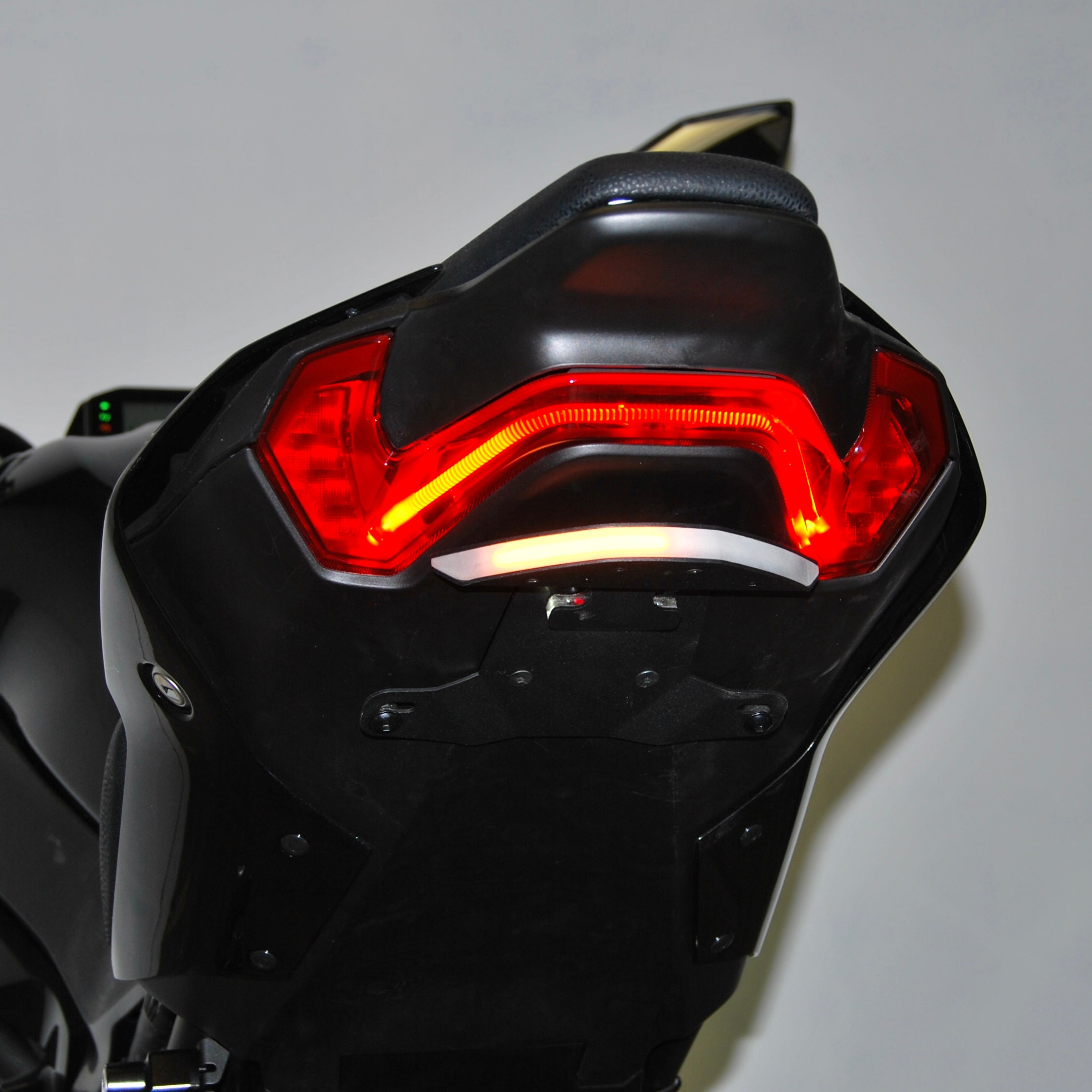 Kawasaki Z900 Fender Eliminator (2024-Present)
