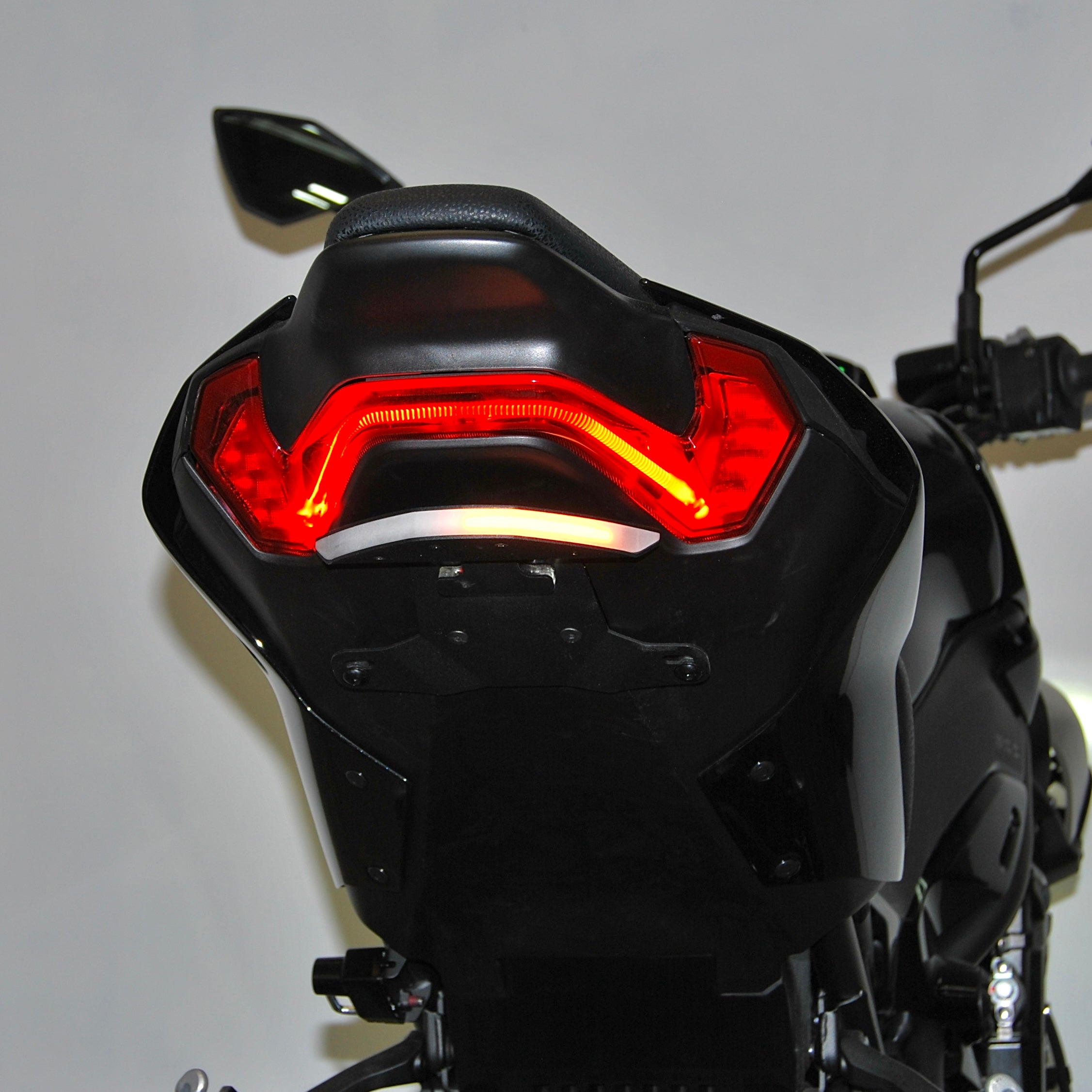 Kawasaki Z900 Fender Eliminator (2024-Present)
