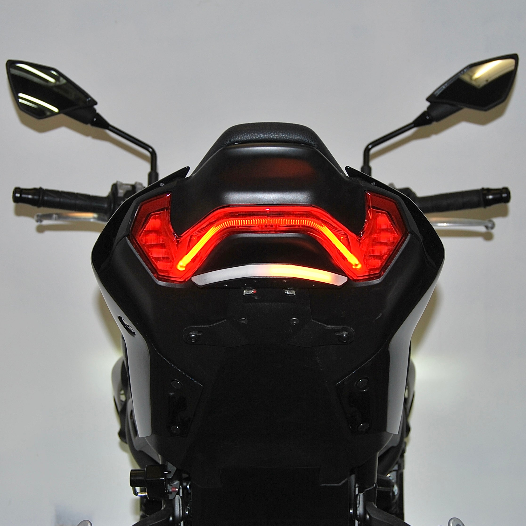 Kawasaki Z900 Fender Eliminator (2024-Present)