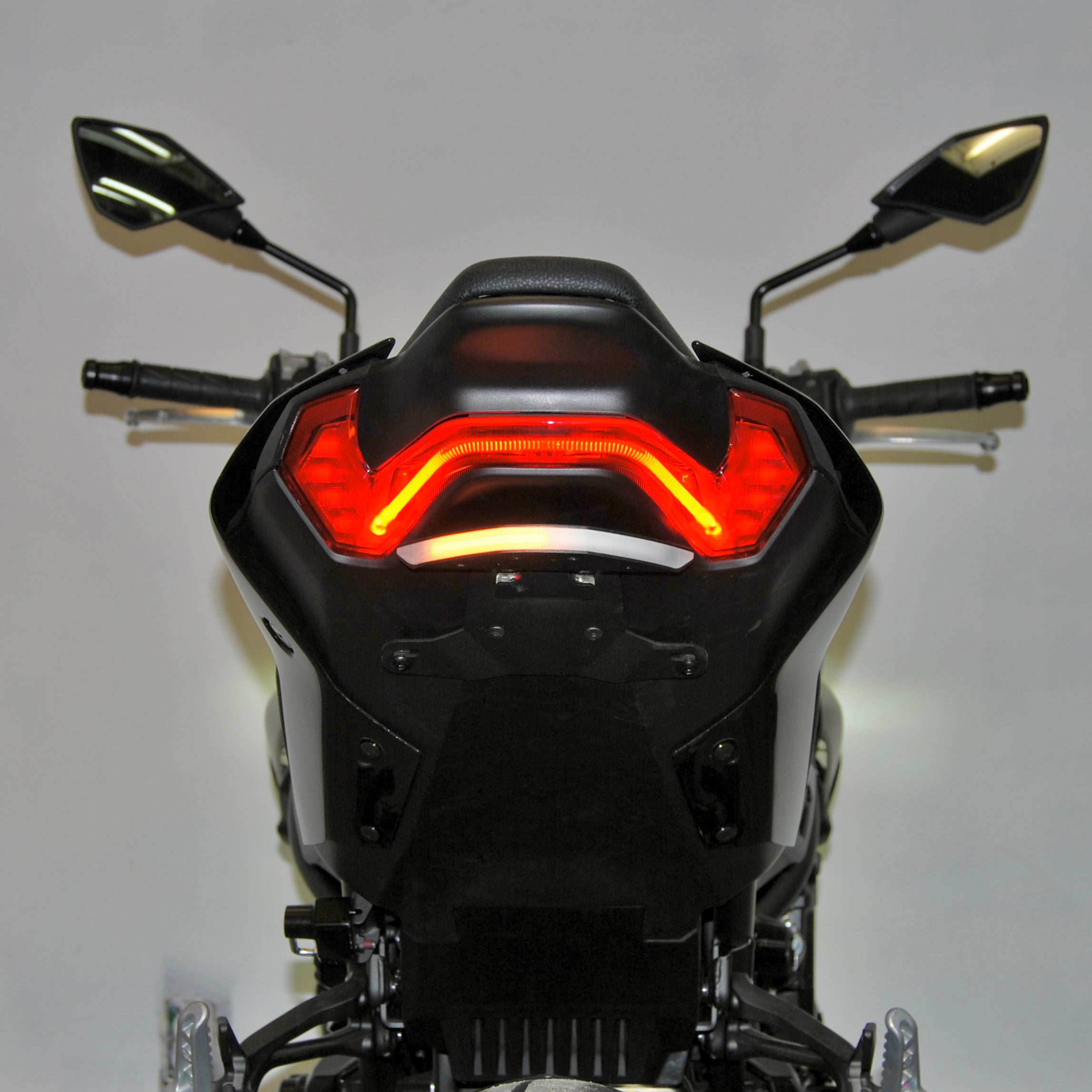 Kawasaki Z900 Fender Eliminator (2024-Present)