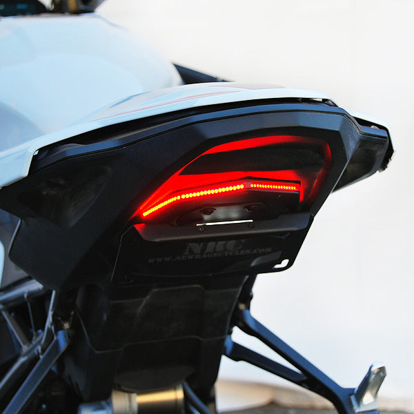 Bmw s1000r deals tail tidy