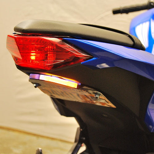 Kawasaki Ninja 300 Fender Eliminator (2012 - 2017)